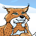 Luchs