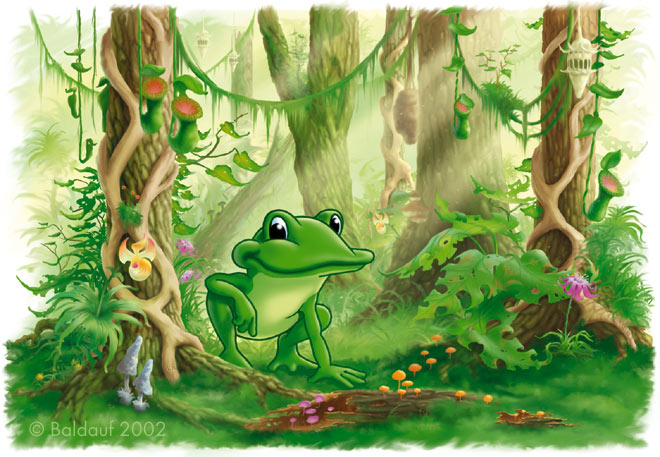 frosch im urwald